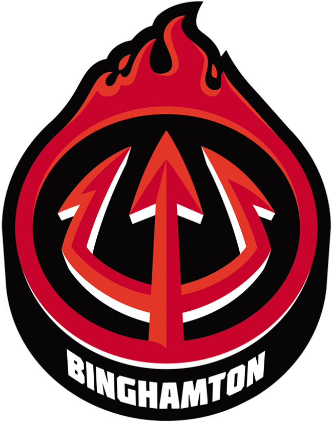 Binghamton Devils 2017-Pres Alternate Logo v2 iron on transfers for clothing